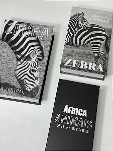 Conjunto de Caixas Decorativas Zebra Organize-it 02506