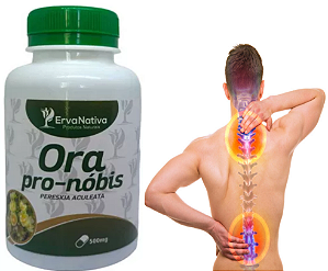 ORA PRO NOBIS REMEDIO DE COLUNA COSTAS ERNIA DE DISCO PERNAS DOENDO MEMORIA FRACA ORA PRO NOBIS ORIGINAL