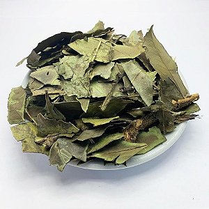 Chá Verde Banchá Nacional 100g