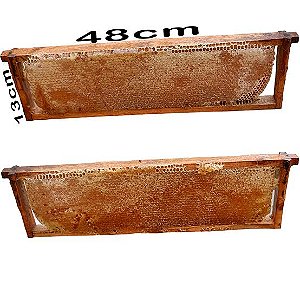 Favo de Mel Grande 48 cm