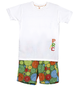 CONJUNTO ESTAMPA MOTOR DE LEGO FUNDO VERDE