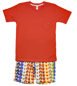 CONJUNTO ESTAMPA AMOSTRAS DE TECIDOS