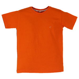 BLUSA BASICA LARANJA