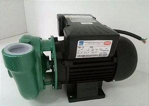 Bomba de Agua Thebe Thb-13 2cv Ip55 Th Mono 127/220-254v