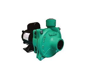 Bomba Agua MonoestÁGio Ee 1.5 1cv Ip21 Mono 110/220-254v Wdm