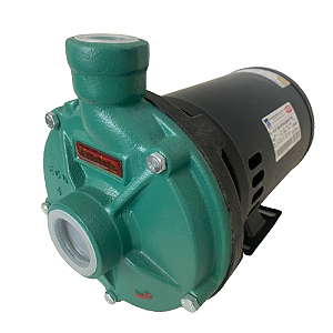 Bomba D Água Centrífuga Thebe Th-16 Rt Semi Aberto Ff  2cv Trifásico Ip21 Nova 220/380