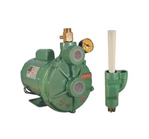 Bomba de Agua Thebe Injetora Tj-16/30 Nr Ip21 Mt. Weg 1,5cv Ip21 Trifasica 220/380 P/poço Profundo