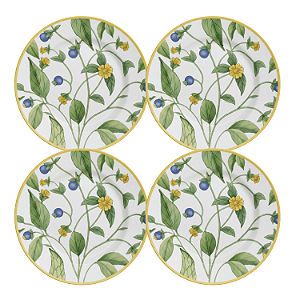 Jogo de Prato Raso Jantar Refeição 29cm Kit 4 Peças Silvestre