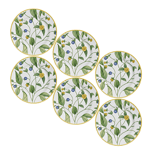 Jogo de Prato Raso Jantar Refeição 29cm Kit 6 Peças Silvestre