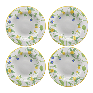 Jogo de Prato Fundo 25cm Kit 4 Pçs Sopa Silvestre Alleanza