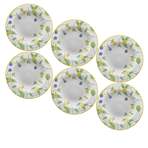 Jogo de Prato Fundo 25cm Kit 6 Peças Sopa Silvestre Alleanza