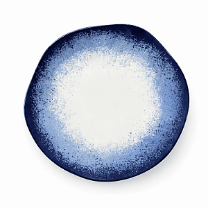 Prato Raso Jantar Refeição 27,5cm Galápagos Porcelana Decorada Oxford