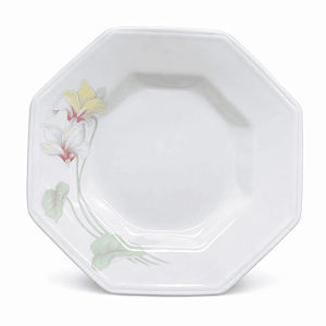 Prato Fundo Jantar Sopa 24cm Encanto Porcelana Decorada Schmidt