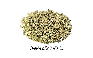 Sálvia - 50g