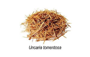 Unha de Gato Casca (Rasura) - 50g