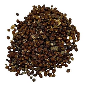 Fava Ataré - Pimenta da Costa (pacote com 10 gramas)