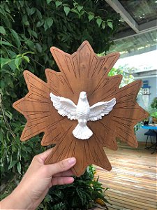 Divino Espirito Santo Madeira Demolição