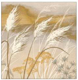 Guardanapo - Waving Grass - 33x33cm - 13318565