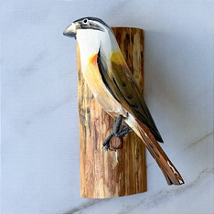 Pássaro Marrom, Amarelo e Branco de Madeira no Galho