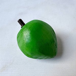 Fruta de Madeira - Goiaba