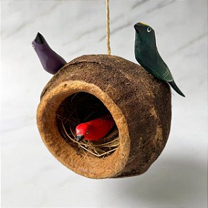 Casinha / Ninho de Passarinho - Semente de Sapucaia