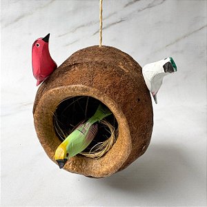 Casinha / Ninho de Passarinho - Semente de Sapucaia