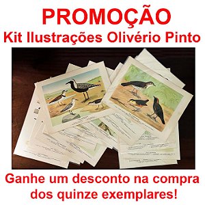 COLEÇÃO OLIVÉRIO PINTO - PROMOÇÃO KIT 15 PÔSTERES