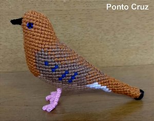 Rolinha-do-planalto - miniatura Pássaros Caparaó ponto-cruz