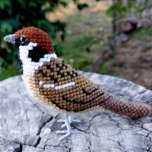 Pardal - miniatura Pássaros Caparaó ponto-cruz