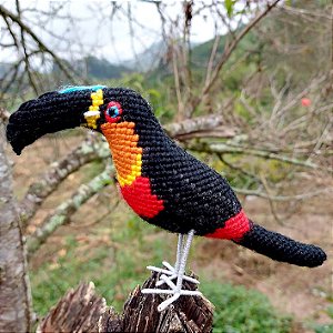 Tucano-de-bico-preto - miniatura Pássaros Caparaó ponto-cruz