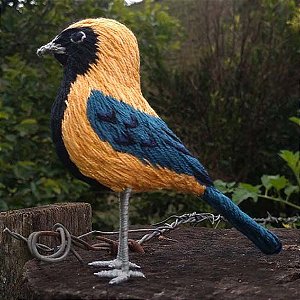 Saíra-amarela - miniatura Pássaros Caparaó bordado