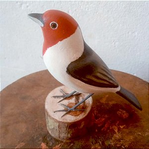 Cardeal-do-nordeste - Miniatura madeira Valdeir José
