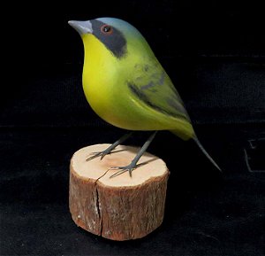 Pia-cobra - Miniatura em madeira Valdeir José