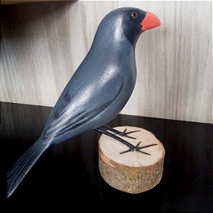 Bico-de-pimenta - Miniatura madeira Valdeir José