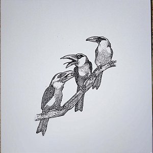 Tucanos - Mario Barata - Reprodução Nanquim