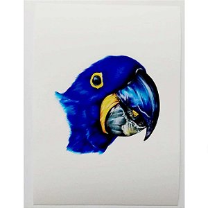 Arara-Azul - Cris Gardim - Reprodução Fine Art