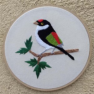 Tangarazinho - Bordado a Mão em Bastidor - Pássaros Caparaó