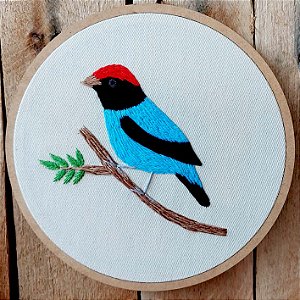 Tangará 1 - Bordado a Mão em Bastidor - Pássaros Caparaó