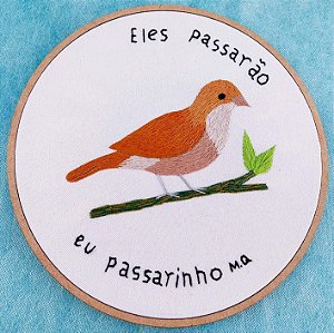 João-de-barro - Bordado a Mão em Bastidor - Pássaros Caparaó