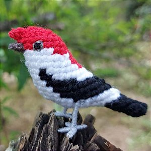 Soldadinho-do-araripe - miniatura Pássaros Caparaó ponto-cruz