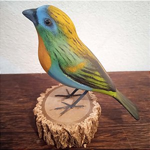 Saíra-lagarta - Miniatura madeira Valdeir José
