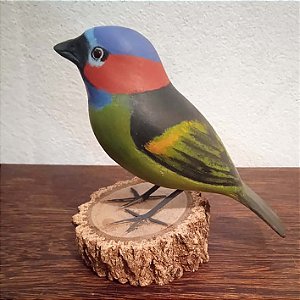 Saíra-militar - Miniatura madeira Valdeir José