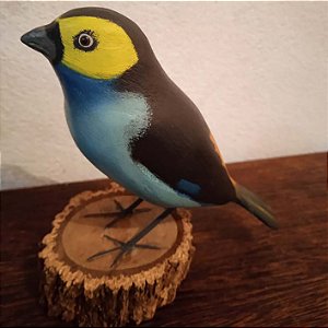 Sete-cores-da-amazônia - Miniatura madeira Valdeir José