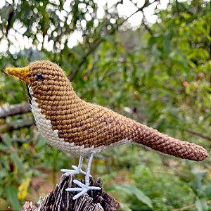 Sabiá-poca - miniatura Pássaros Caparaó ponto-cruz