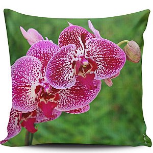 Orquídea 3 - capa para almofada Ana Gadini