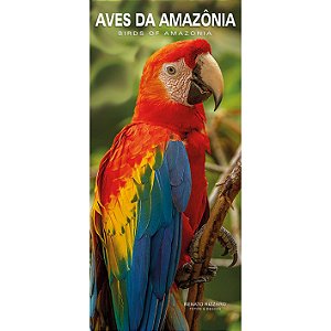 Pássaros da Amazônia, aves do Amazonas, aves da Floresta Amazônica - A Loja  dos Passarinhos