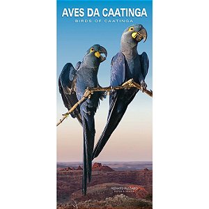 Guia Aves da Caatinga / Birds of Caatinga