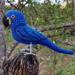 Arara-azul-de-lear - miniatura Pássaros Caparaó ponto-cruz