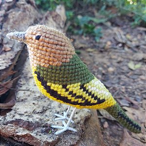 Maria-catarinense - miniatura Pássaros Caparaó ponto-cruz