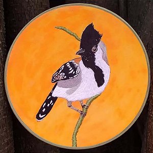 Choca-do-nordeste - Bordado a Mão em Bastidor - Bordando Aves